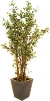Europalms Ficus tree deluxe, 240cm Europalms Ficus tree deluxe, 240cm