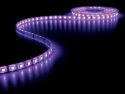 Prof. RGB LED strip (IP68) - 12V, 300 x RGB (5m) LQ12W230RGBN1 Prof. RGB LED strip (IP68) - 12V, 300 x RGB (5m) LQ12W230RGBN1