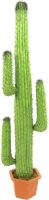 Europalms Mexican Cactus, green, 170cm Europalms Mexican Cactus, green, 170cm