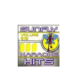 Sunfly Hits 213 TILBUD NU