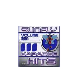 Sunfly Hits 231 TILBUD NU