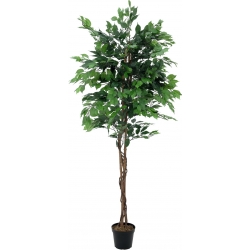 Europalms Ficus Tree Multi Trunk, artificial plant, 210cm TILBUD NU