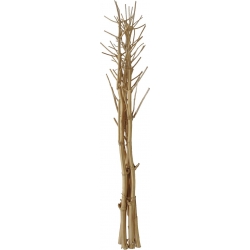 Europalms Fennel bunch, dried, gold, 160cm fennikelbundt fennikel tørret guld