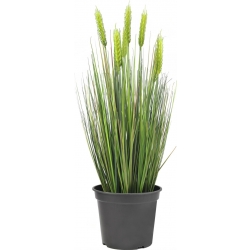 Europalms Wheat early summer, artificial, 60cm TILBUD NU sommer tidlig hvede