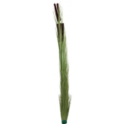Europalms Reed grass with cattails,light green, artificial, 152cm lysegrøn grøn