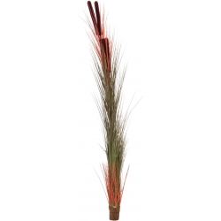 Europalms Reed grass with cattails, light-brown, artificial, 152cm lysebrun brun