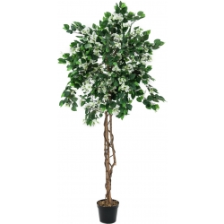 Europalms Bougainvillea, artificial plant, white, 180cm TILBUD NU europalm hvid