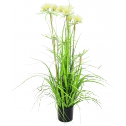 Europalms Star Grass artificial, 120cm TILBUD NU stjerne græs