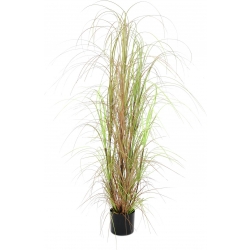 Europalms Grass bush, artificial, 150cm TILBUD græsbøsning europalmer busk græs