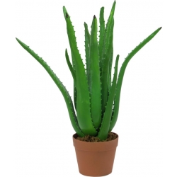 Europalms Aloe Vera Plant, artificial plant, 63cm TILBUD NU plante