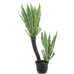 Europalms Orchid-Cactus, artificial plant, 160cm TILBUD NU kaktus
