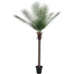 Europalms Phoenix Palm Deluxe, artificial plant, 220cm TILBUD NU