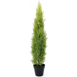 Europalms Cypress, Leyland, artificial plant, 120cm TILBUD NU europalmer