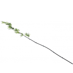 Europalms Bamboo tube with leaves, artificial, 180cm, sixpack vaskebræt bambus