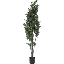 Europalms Schefflera, artificial,120cm TILBUD NU