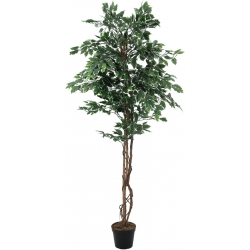 Europalms Variegated Ficus, artificial plant, 180cm TILBUD NU brogede flot