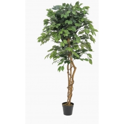 Europalms Ficus Tree Multi Trunk, artificial plant, 150cm TILBUD bagagerum træ