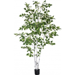 Europalms Birch Tree, artificial plant, 210cm TILBUD NU træ