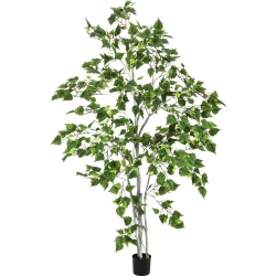 Europalms Birch Tree, artificial plant, 180cm TILBUD NU træ