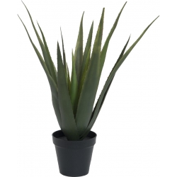 Europalms Aloe vera plant, artificial plant, 60cm TILBUD NU plante