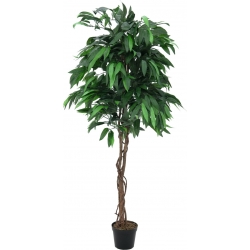 Europalms Jungle tree Mango, artificial plant, 180cm TILBUD NU træ