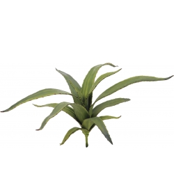 Europalms Aloe (EVA), artificial, green, 66cm TILBUD NU grøn