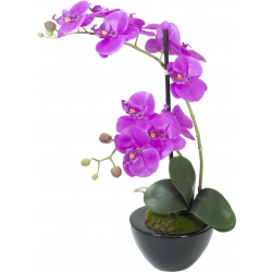 Europalms Orchid arrangement 4, artificial TILBUD NU