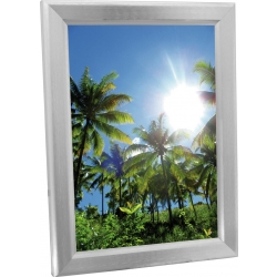 Europalms Illuminated billboard A2, aluminium TILBUD NU oplyst