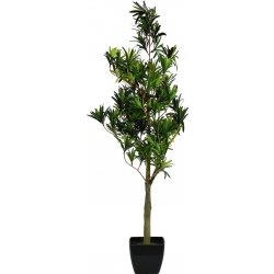 Europalms Podocarpus tree, artificial plant, 90cm TILBUD NU træ
