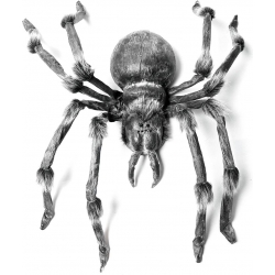 Europalms Monsterspider ca.130cm TILBUD NU