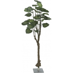 Europalms Pothos tree, artificial plant, 175cm TILBUD NU træ
