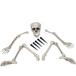 Europalms Halloween Skeleton, multipart TILBUD NU skelet