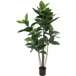 Europalms Rubber Tree, artificial plant, 120cm TILBUD NU gummitræ gummi træ
