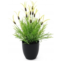 Europalms Feather lettuce, artificial, 40cm TILBUD NU