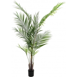 Europalms Areca palm with big leaves, artificial plant, 165cm TILBUD NU
