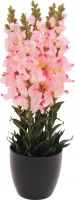 Europalms Antirrhinum, rose, 65cm Europalms Antirrhinum, rose, 65cm