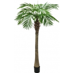Europalms Phoenix palm tree luxor, artificial plant, 210cm TILBUD NU