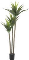 Europalms Yucca, 3 trunks, 125cm Europalms Yucca, 3 trunks, 125cm