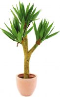 Europalms Yucca palmbush, 105cm Europalms Yucca palmbush, 105cm