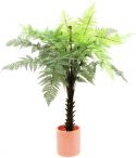Europalms Woodwardia tree, 180cm Europalms Woodwardia tree, 180cm