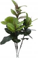 Europalms Rubber tree, 100cm Europalms Rubber tree, 100cm