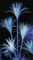 Europalms Yucca palm, uv-white, 180cm Europalms Yucca palm, uv-white, 180cm