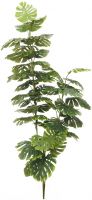 Europalms Split philo, 3 trunks, 150cm Europalms Split philo, 3 trunks, 150cm