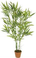Europalms Bamboo green trunk, 115cm Europalms Bamboo green trunk, 115cm
