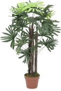 Europalms Rhaphis palm, 90cm Europalms Rhaphis palm, 90cm