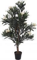 Europalms Oleander tree, white, 120 cm Europalms Oleander tree, white, 120 cm