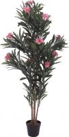 Europalms Oleander tree, pink, 150 cm Europalms Oleander tree, pink, 150 cm