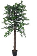 Europalms Ficus Tree Multi Trunk, 150cm Europalms Ficus Tree Multi Trunk, 150cm
