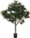 Europalms Magnolia tree, 150cm Europalms Magnolia tree, 150cm