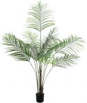 Europalms Areca palm with big leaves, 185cm Europalms Areca palm with big leaves, 185cm